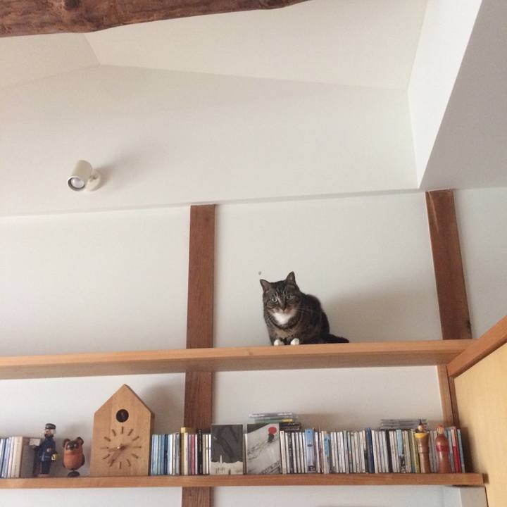 41a157e1 1813 41ca b835 76413594c27c 1529814776332