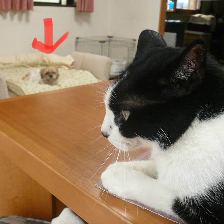 41a1ae02 5f9e 4447 a00c eb33cc78fab0 1624421661896