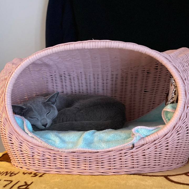 41a21de9 f807 4472 a4bd 93c0a15b87f4 1682587520001