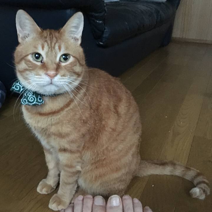 41a23b64 8519 4753 9b56 0643bb0c2e51 1551874472380