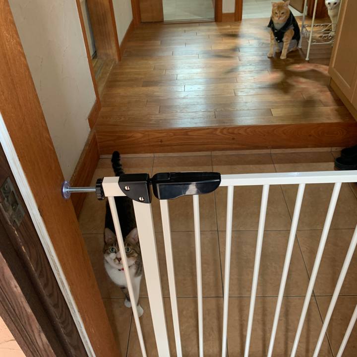 41a24528 c116 4746 a715 f1deeeef4545 1658116165683