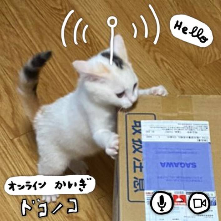 41a25ddb b8dc 45a0 95c8 0727f4004401 1592915613999