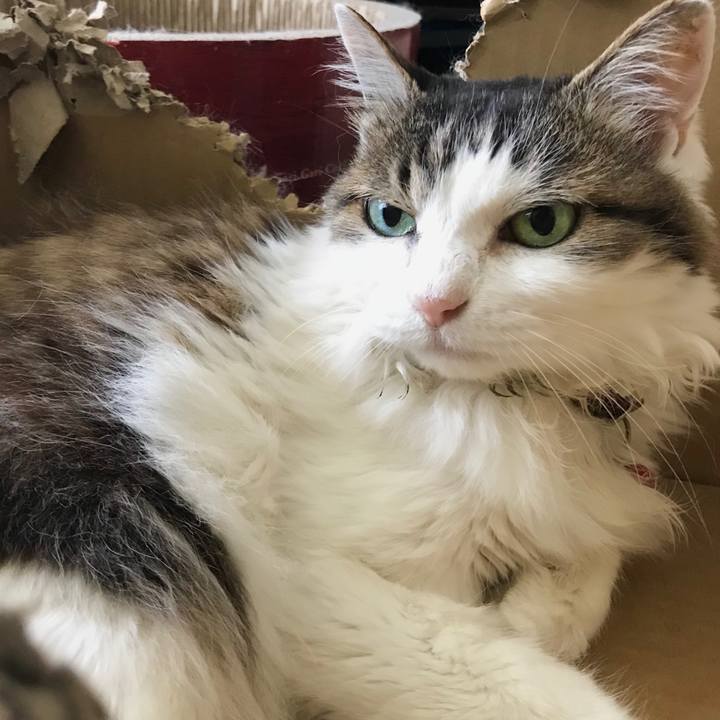 41a27161 df88 45f9 96d5 4a30e465e228 1559136038652