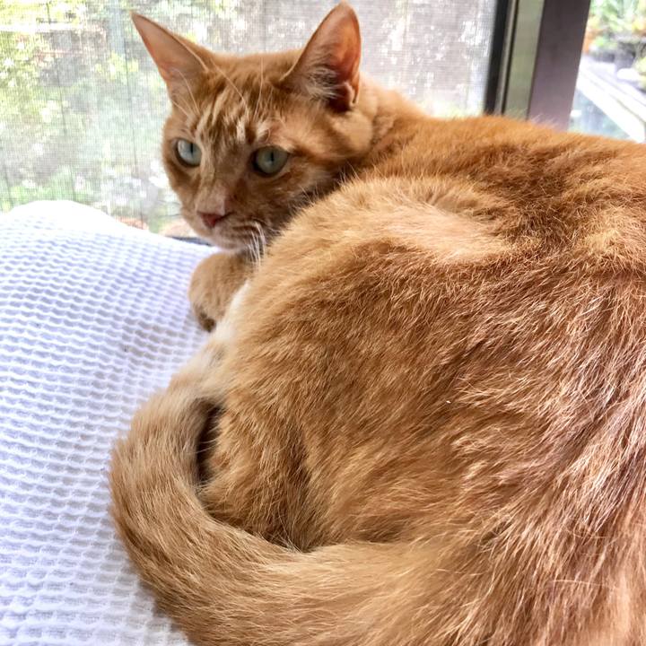 41a2ad40 6eb3 4ca9 8c1d af750ec0f597 1557558557465