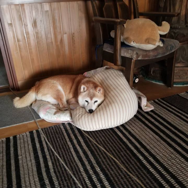 41a2ba15 d31f 4799 95cf f6b48bacb560 1723102317664