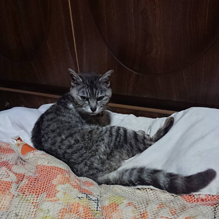 41a2c892 4ad2 48ea 925c 48ef740ec162 1591704785812