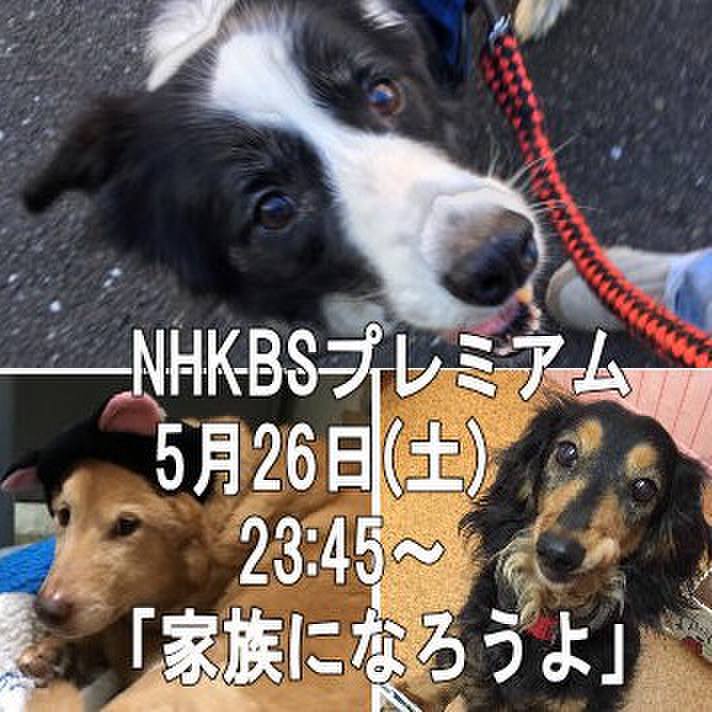 41a2d715 ce27 41c1 bfa6 d05c38912970 1526811649158