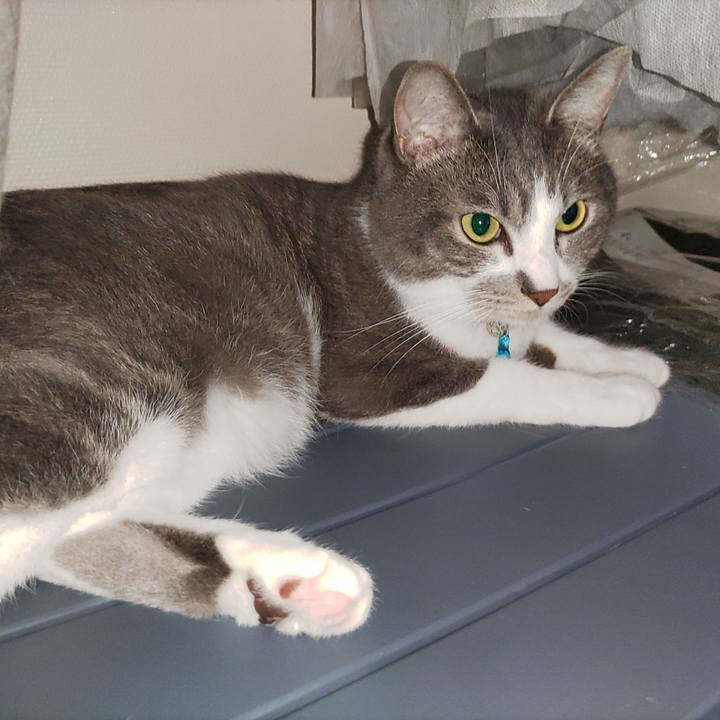 41a2e8bf a40c 49ca 8a1d 5cf44a6f1653 1687124848148