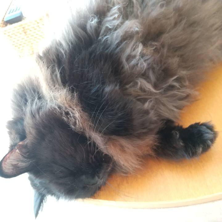 41a2ff11 7cff 4f41 8013 4026e1bb624d 1668127426262