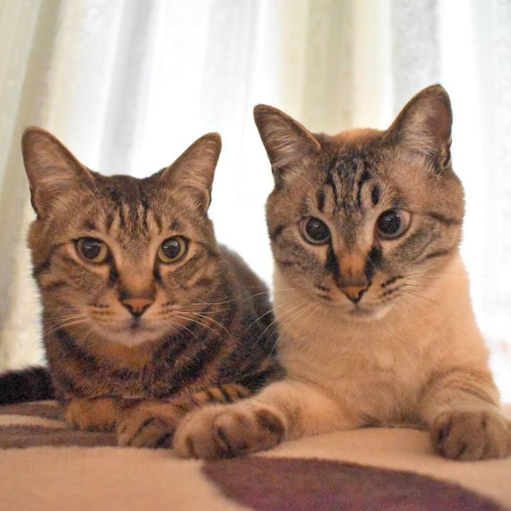 41a326b0 8db9 45db 9b49 de8ef03e16e8 1526475984591