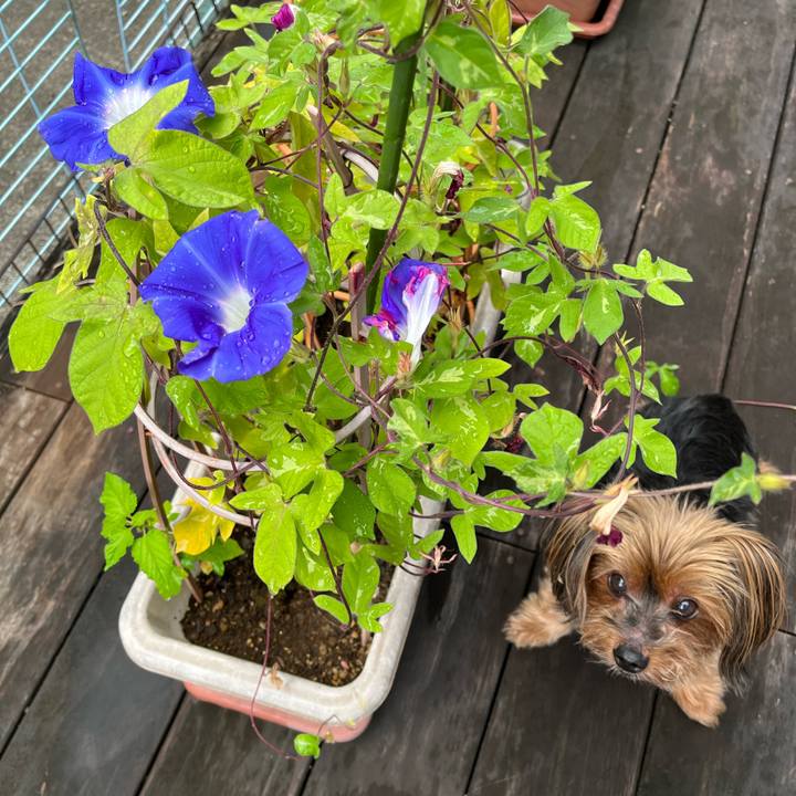 41a35ba5 59ef 41b2 ba8d 18c093449157 1692658743841