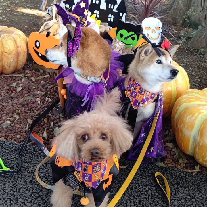 41a3a0c5 c24e 482f b518 d84ea8ac8ef2 1635643631275