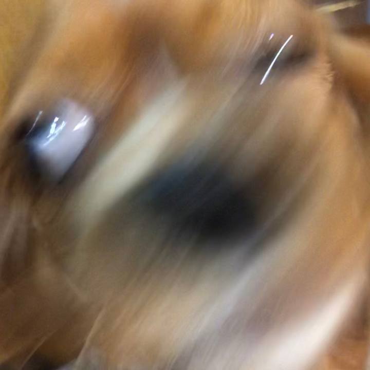 41a3cb35 d851 4f7f b054 16a11eaddff8 1588381758118