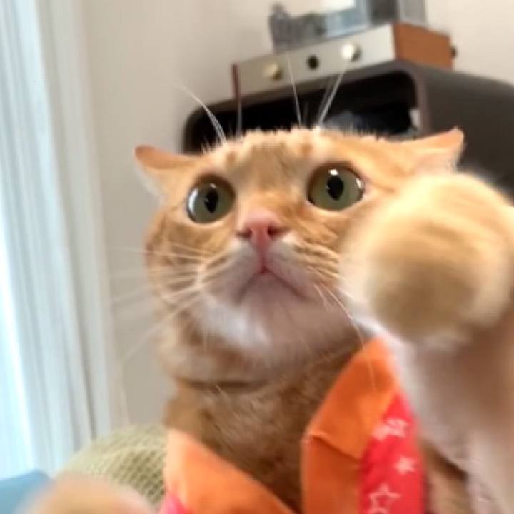 41a3f8c8 c954 4b51 8002 2d93c6d73f07 1565524770607