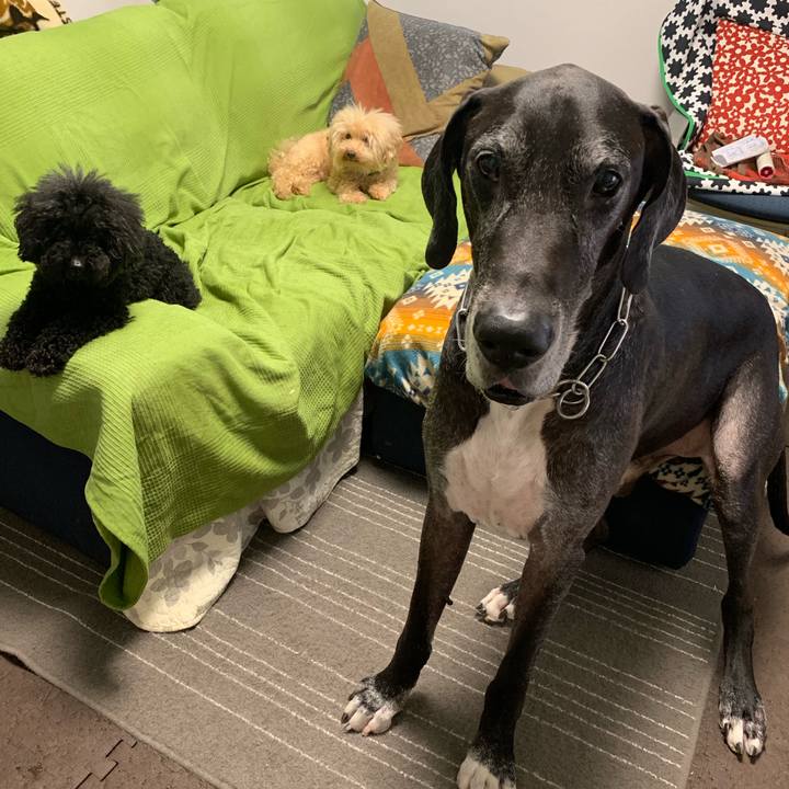 41a3fe50 483e 41ee b3a0 4c17137872c6 1570143553674