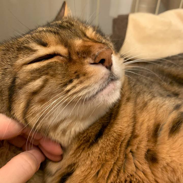 41a40fbb 5e2f 41fb b639 ddeb1a4e923a 1618642053090