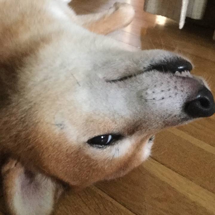 41a441b3 2500 4231 97c8 bdcccc6c92e4 1598326835403