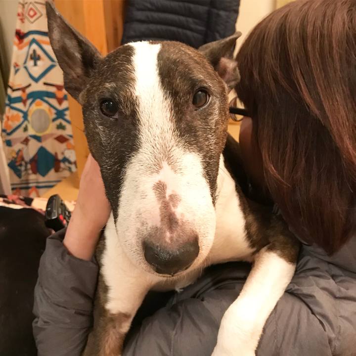 41a46fbb 6bb8 4729 b079 9a1d545d9ddb 1515937366919