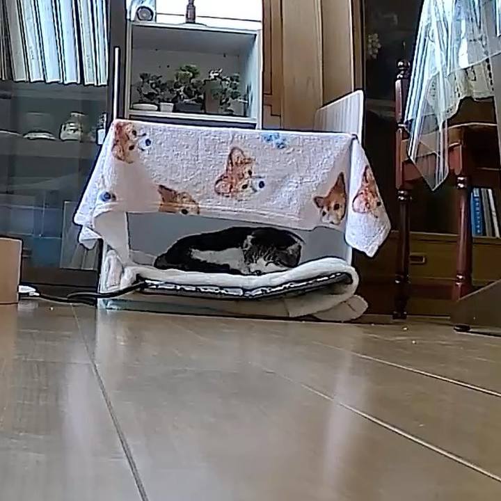 41a47bff e989 4eef 99b0 dee50d5cb087 1761186906740