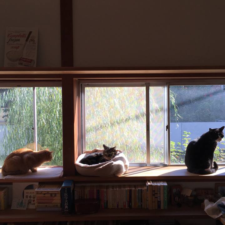 41a49850 13b4 4e47 9251 d2a6b6f3d79b 1542953334594