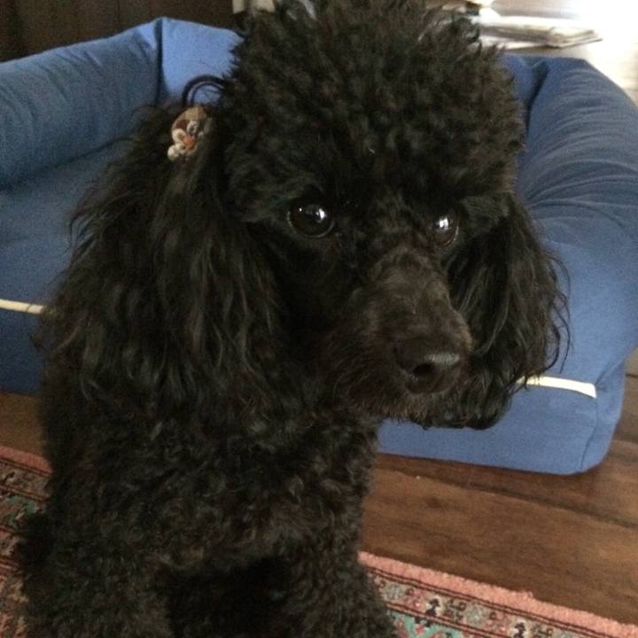 41a4a36b 0dce 4833 9ed0 617f67092d28 1537770424663