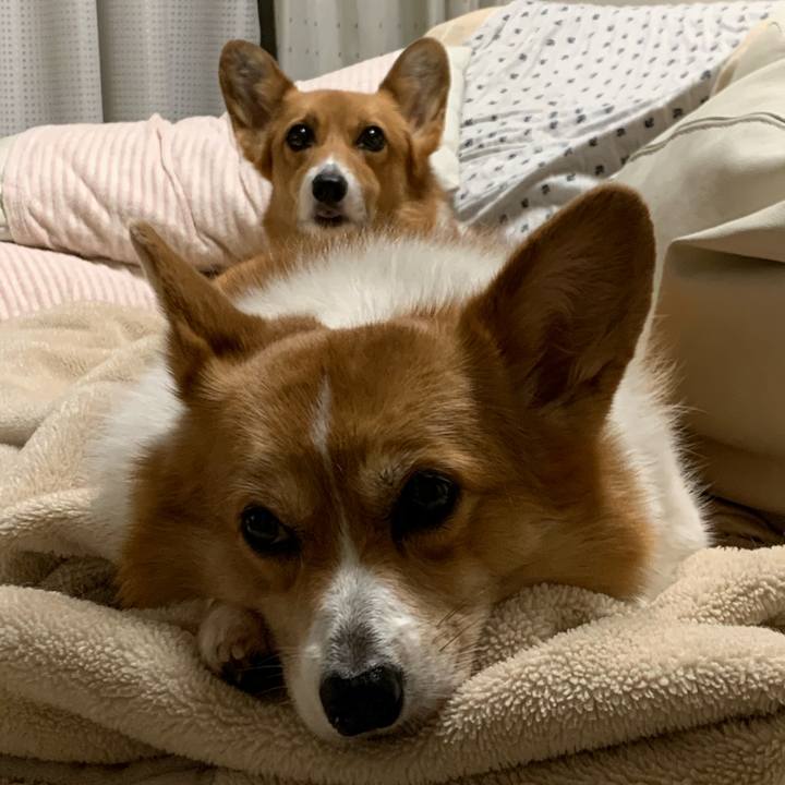 41a4c2ea 3af8 475e a709 ee86602b1fb0 1602237694628