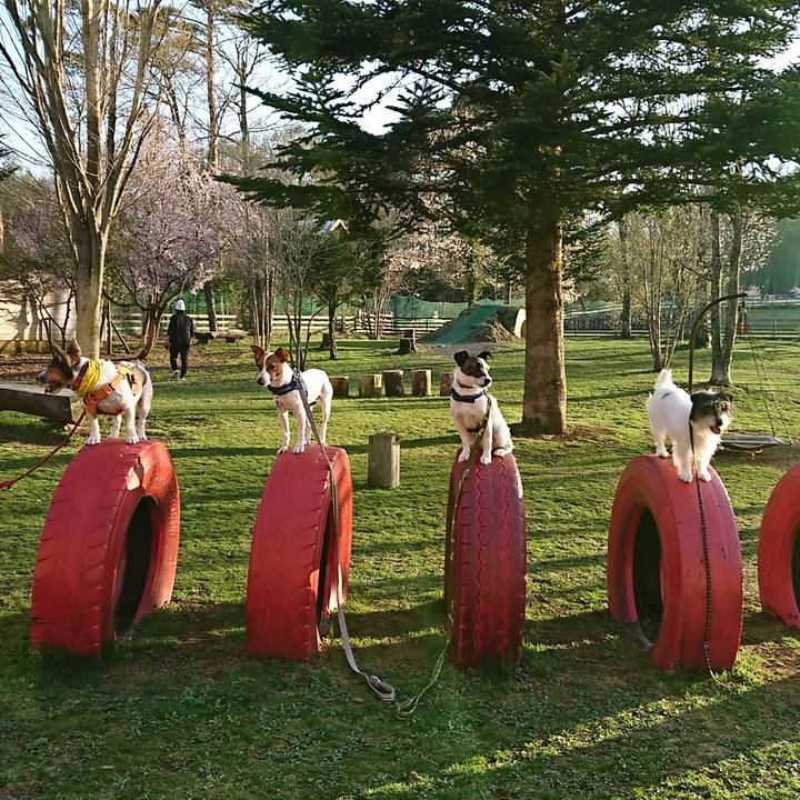 41a4c886 ba02 43f0 b38b 145c0fd14675 1524300224516