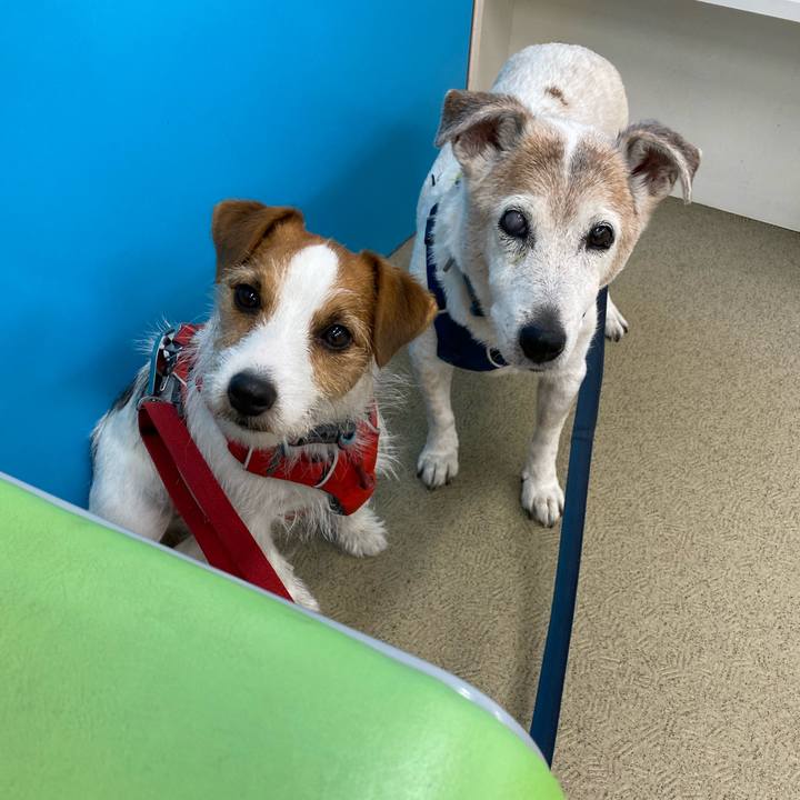 41a4f6f5 7eab 4c6c bf7b 9e6a6d180182 1683346179026