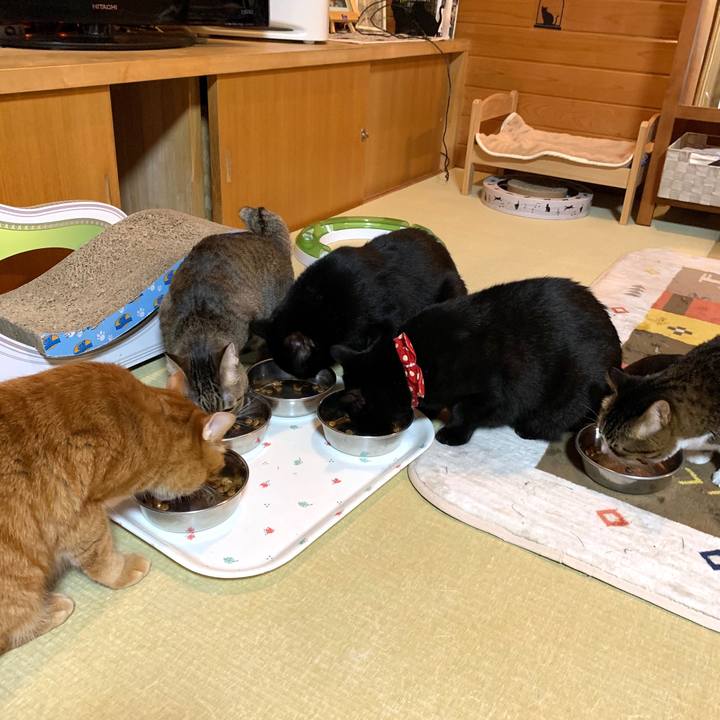 41a525cc 6f55 4d9a 804d 3628657d00a0 1586351658936