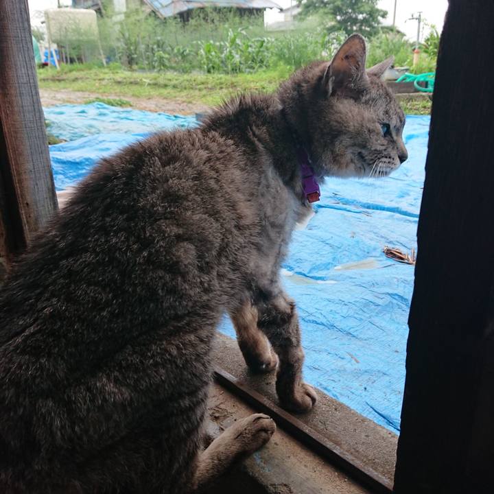 41a5544b 3c4a 4696 9970 db378b3b2909 1594024676777