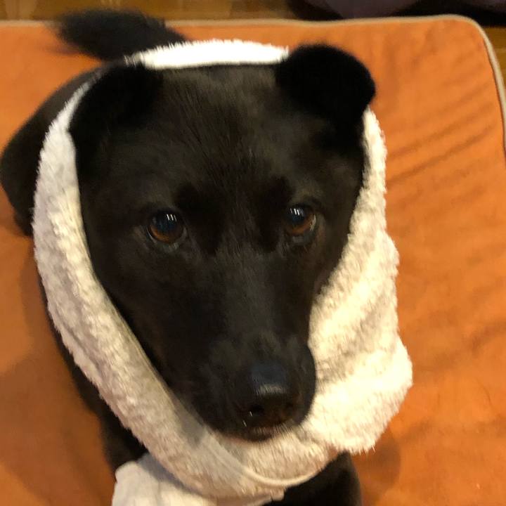 41a562d7 58f0 4f64 af9e 33aecea1a1c7 1594763551055