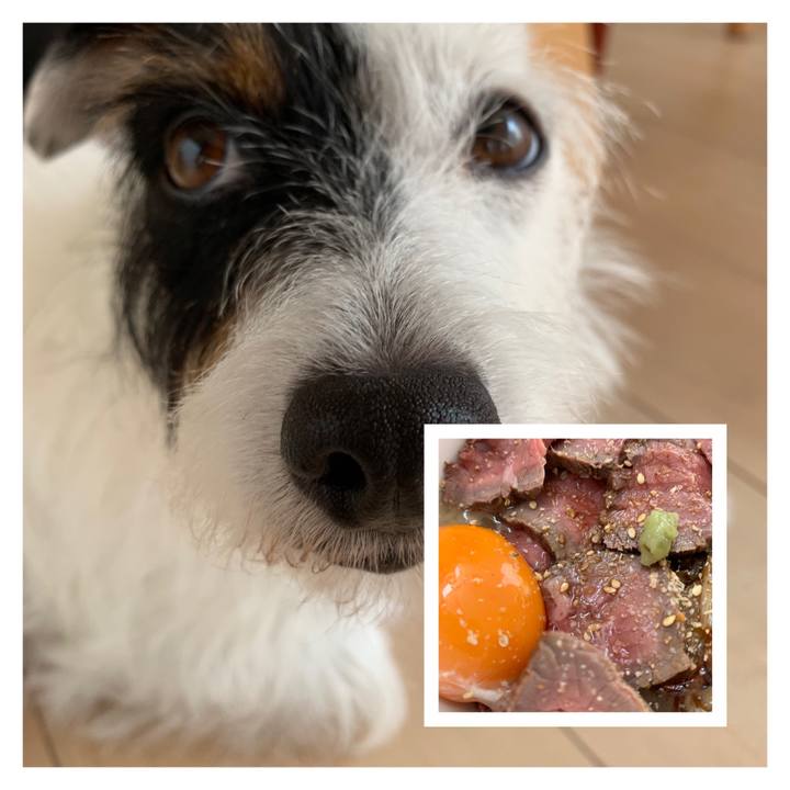 41a59ca6 da89 4278 bfed 5c3679087145 1564456335574