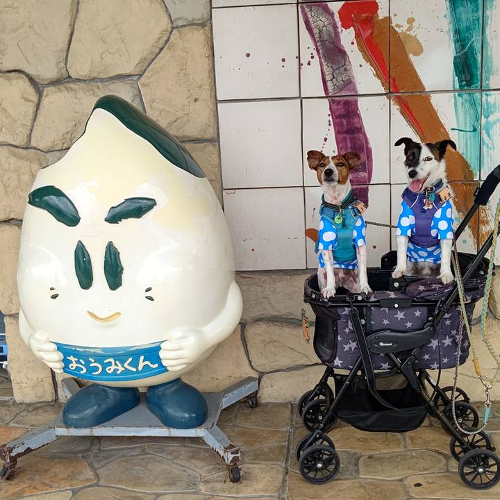 41a5a3f4 6ec6 4366 a4e3 eeb9c60a587c 1691663617552