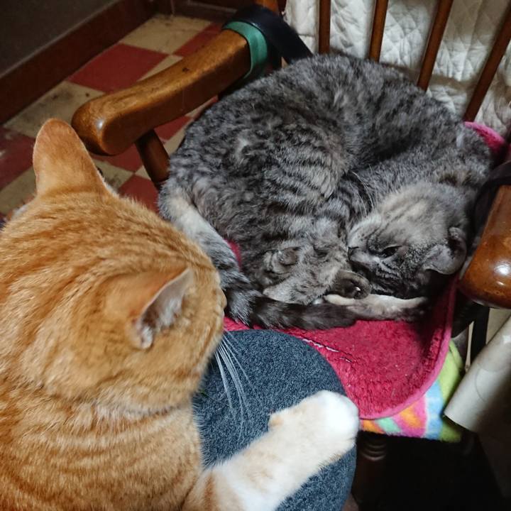 41a5adbe 30d5 422a bf9d 70de726f652f 1581940780385