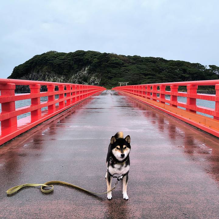 41a5d4b1 adb6 4810 ae3e 5cd5d4c66d41 1761918084431