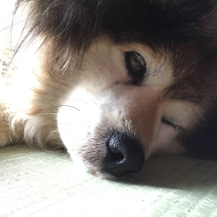 41a5f146 e627 4e0c 9919 c918d5856211 1585701033756