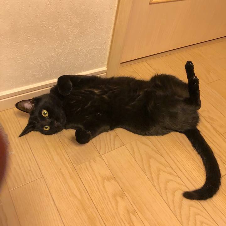 41a62f9f c847 4e55 9a13 0371c53b0f8c 1546005157311