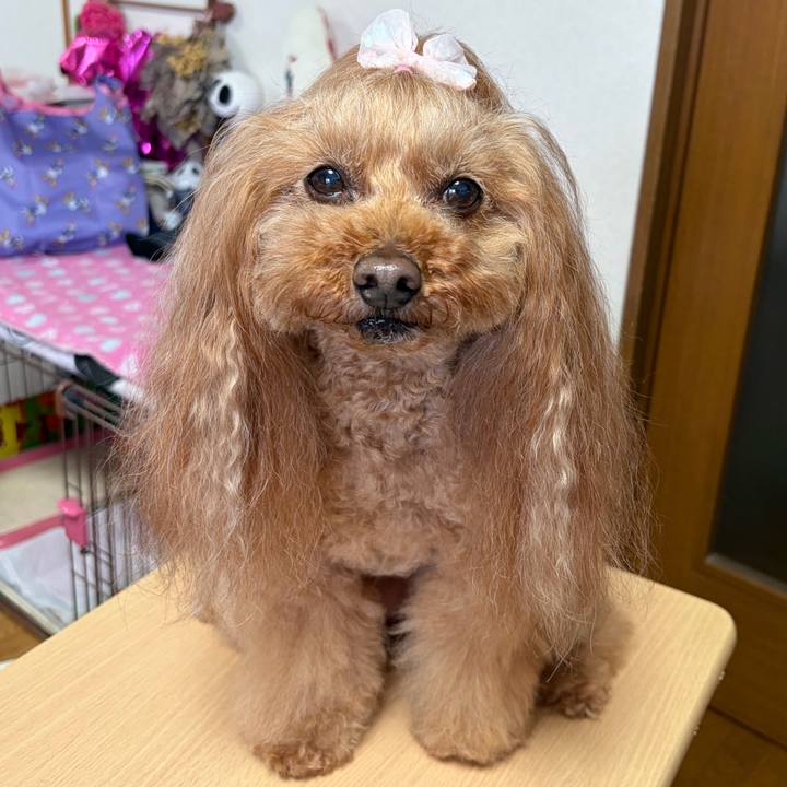 41a63217 3fa5 41eb 98a5 9a4071915b59 1776911703743