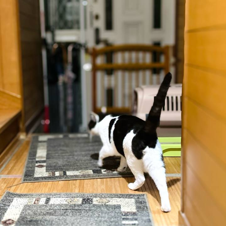 41a64cb0 d41c 471d 9de5 87ca191d0ddb 1657500840091