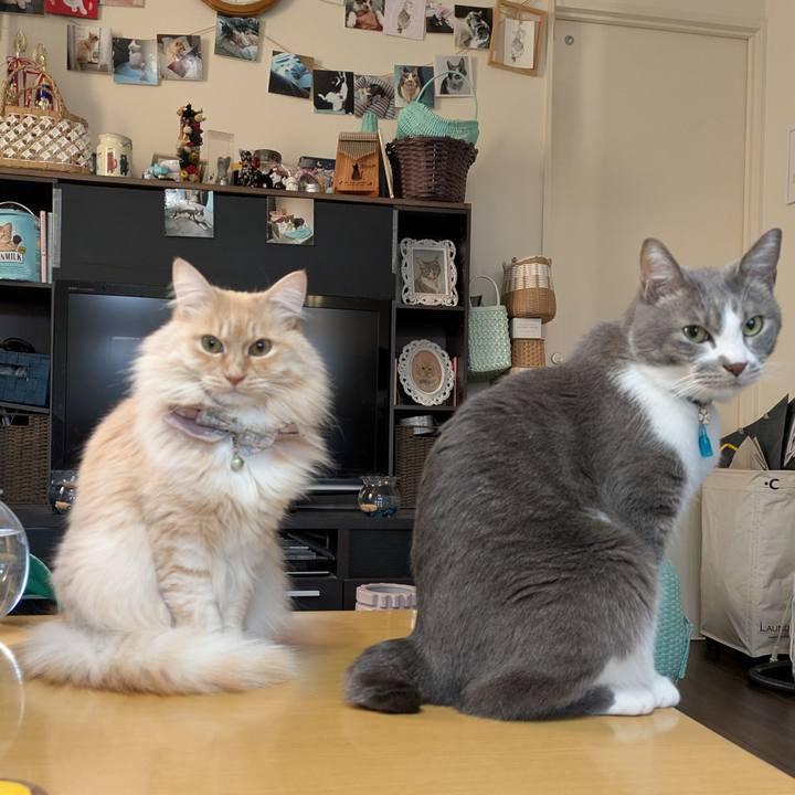 41a6653c 2a57 4484 a7a0 4f3eb1c4b479 1739185009216