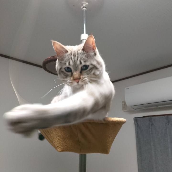 41a67686 f08a 400a 9730 c2625a66f1fb 1521461956191