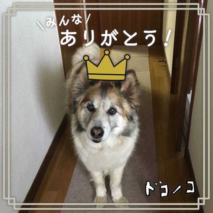 41a69ed7 ab04 4b49 b5ae 4e5e20fa5e53 1622912978242