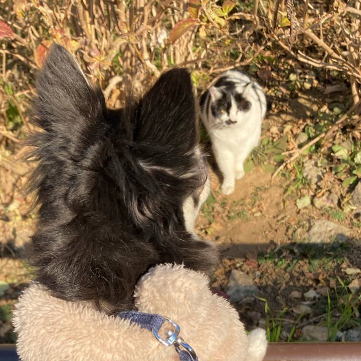 41a6cffe 63c7 4fc3 861c 2e582026cbb3 1673103772791