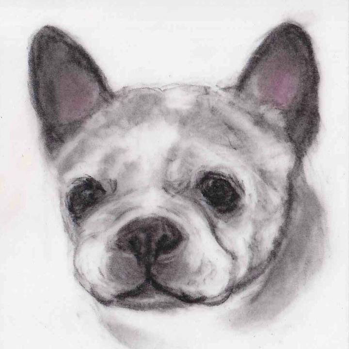 41a6d3ef c7b8 4c39 bf9c d9aed0f10759 1646976409329