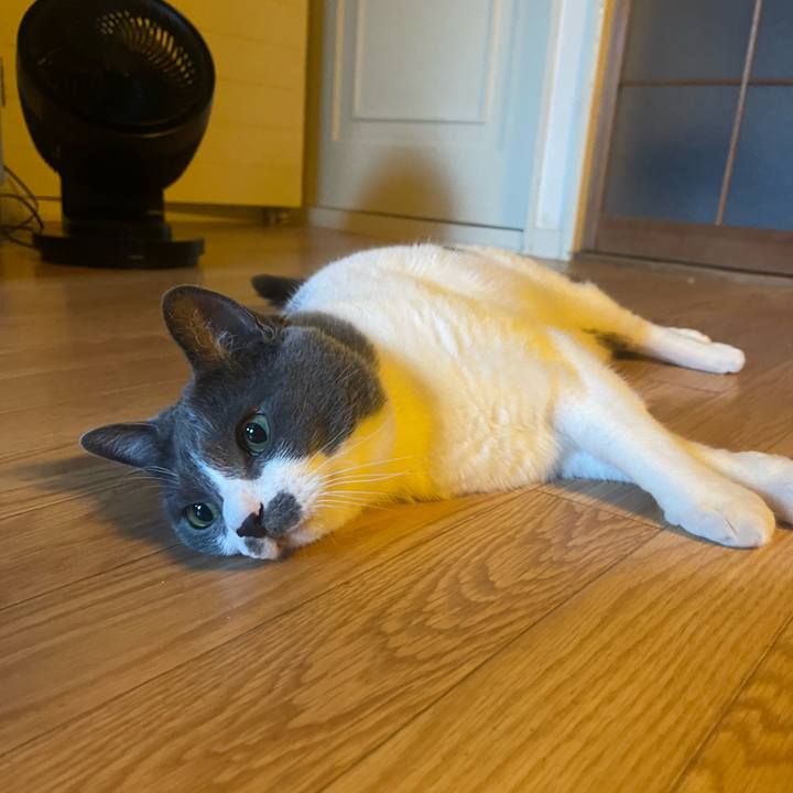 41a74df1 9d06 4b50 9920 6197a16a2a1c 1751150149484