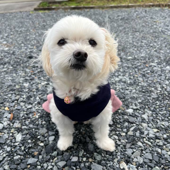 41a750bb 2b15 4f32 a32a cfe4a4524835 1673762226321