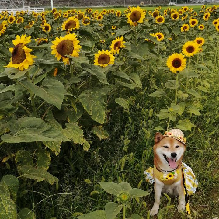 41a76899 c71b 4b84 b708 abc1d47c06f0 1657626265357