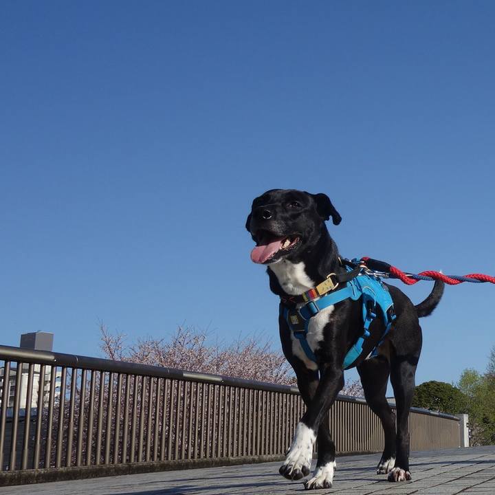 41a7893e c069 4a1f 9866 50fec1a83004 1616979706271