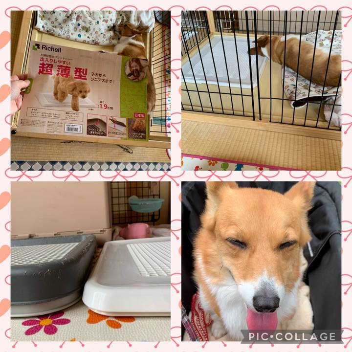 41a7a618 7854 4bd5 884e aa64282f72c3 1621829846180