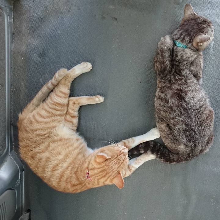 41a80faf 2919 400f 9ef6 191e5857b962 1561715191970